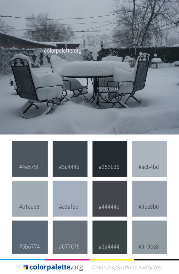Snow Winter Freezing Color Palette