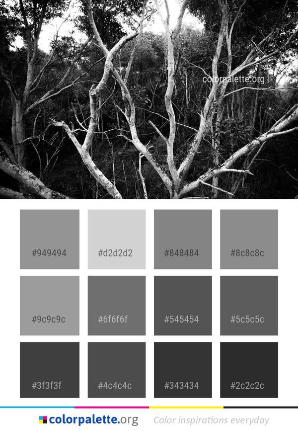 Tree Branch Black Color Palette