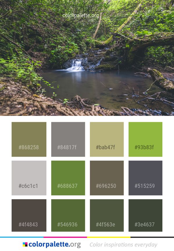 Water Nature Vegetation Color Palette