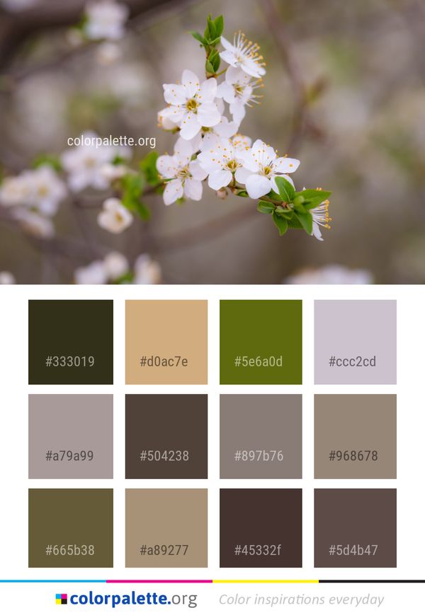 White Flower Spring Color Palette