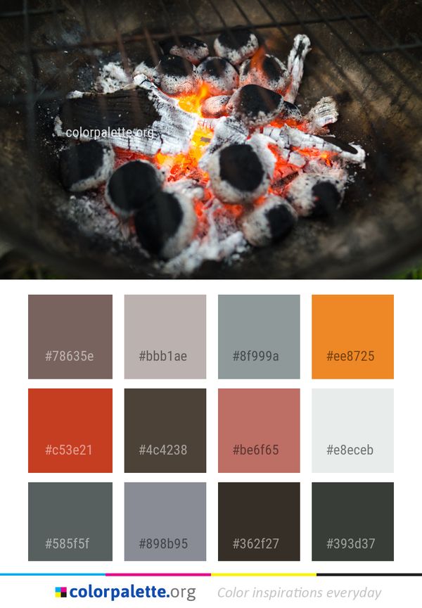 Animal Source Foods Color Palette