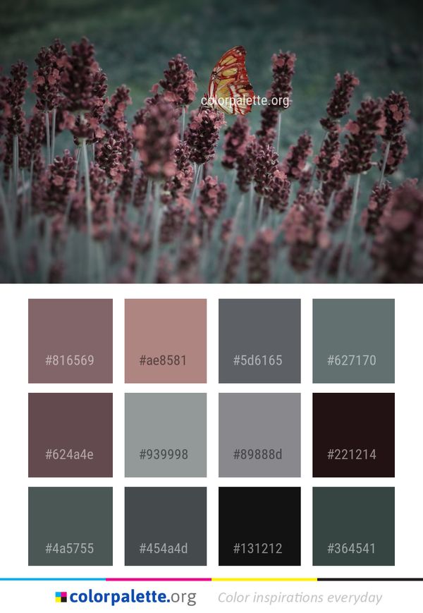 Flora Plant Lavender Color Palette