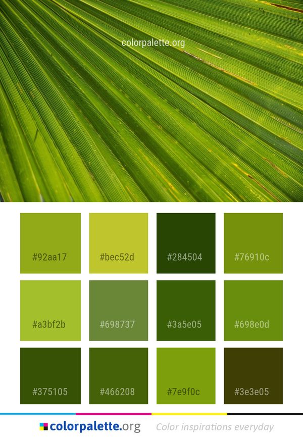 Green Leaf Field Color Palette