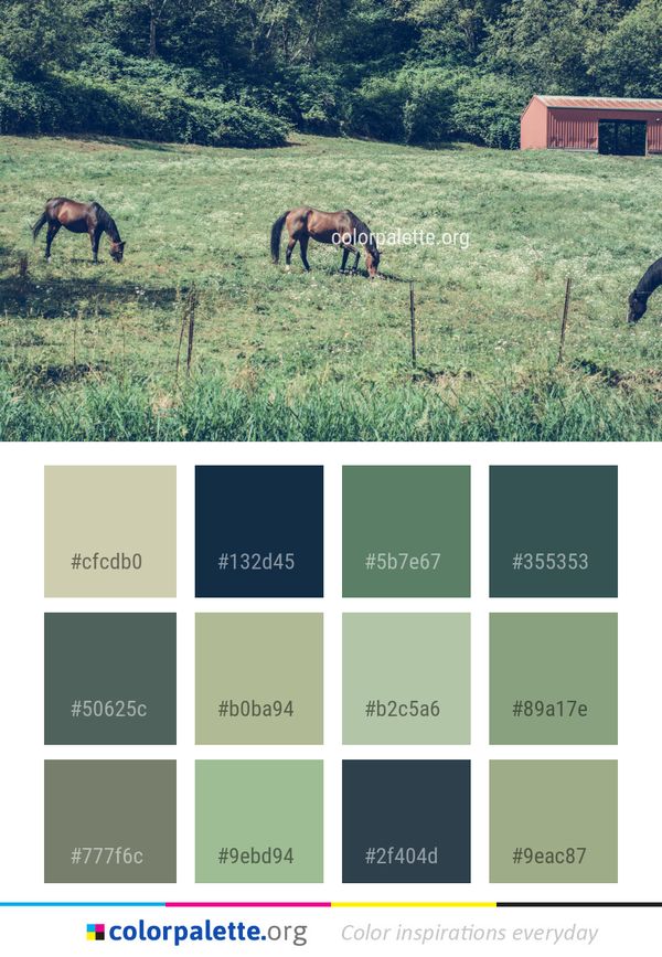 Pasture Grassland Ecosystem Color Palette