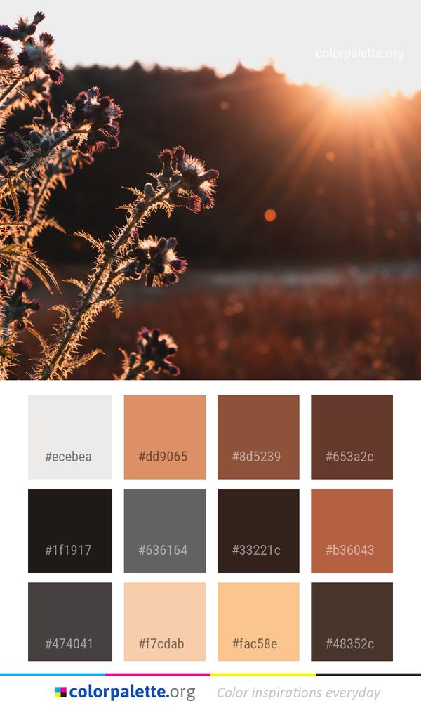 Sky Nature Leaf Color Palette