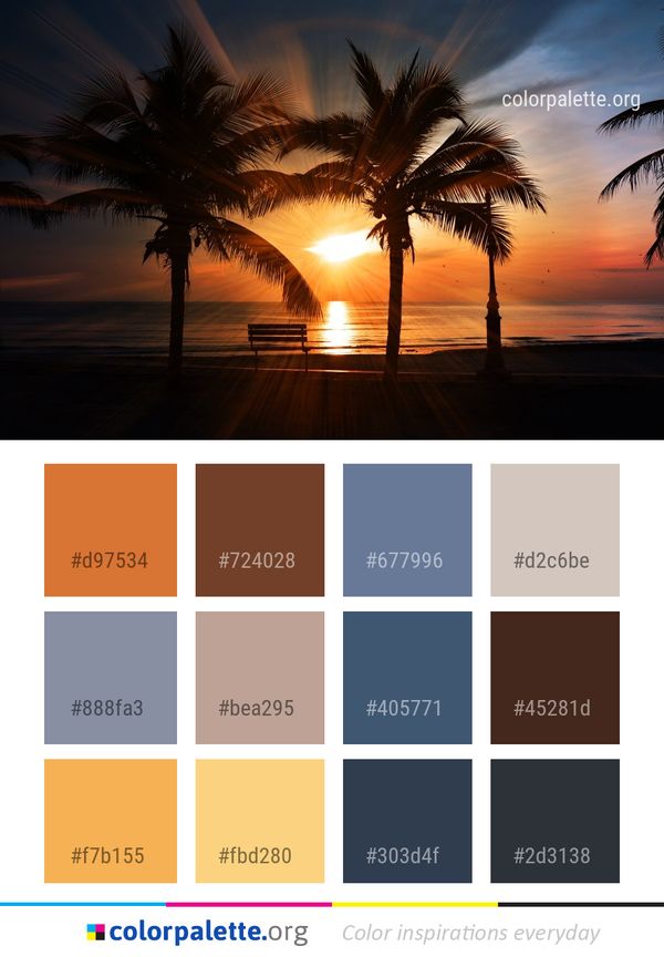 Sky Sunset Palm Tree Color Palette