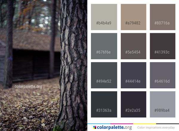 Tree Nature Woodland Color Palette