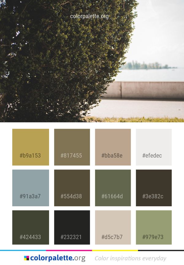 Tree Water Leaf Color Palette