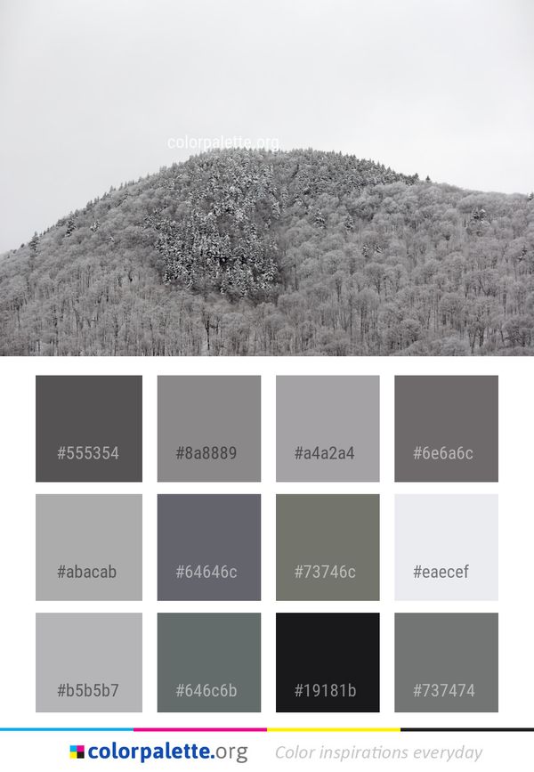 Black And White Tree Winter Color Palette