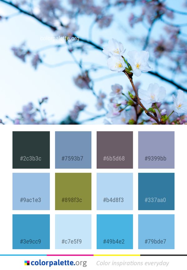 Blossom Flower Blue Color Palette