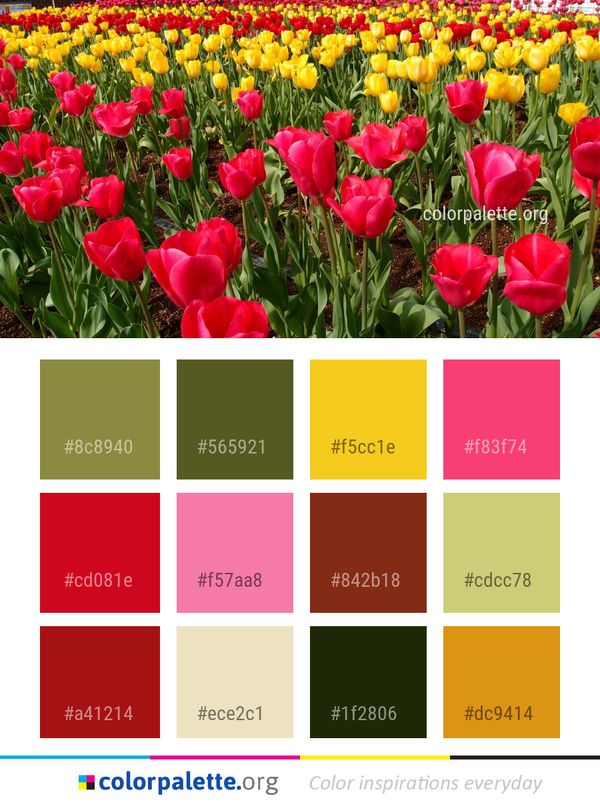 Flower Plant Flowering Color Palette