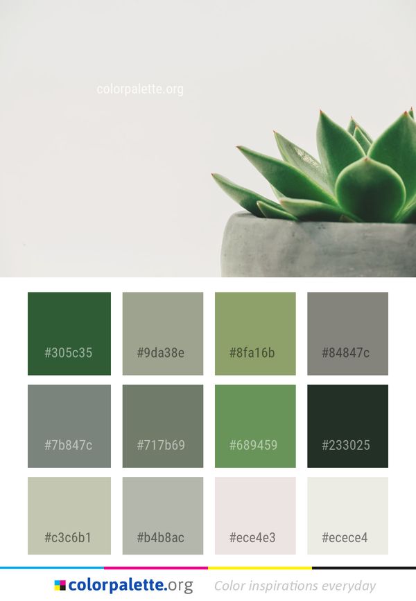 Green Leaf Close Up Color Palette