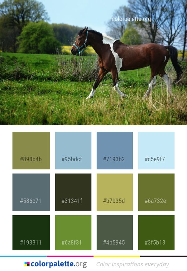 Horse Pasture Like Mammal Color Palette