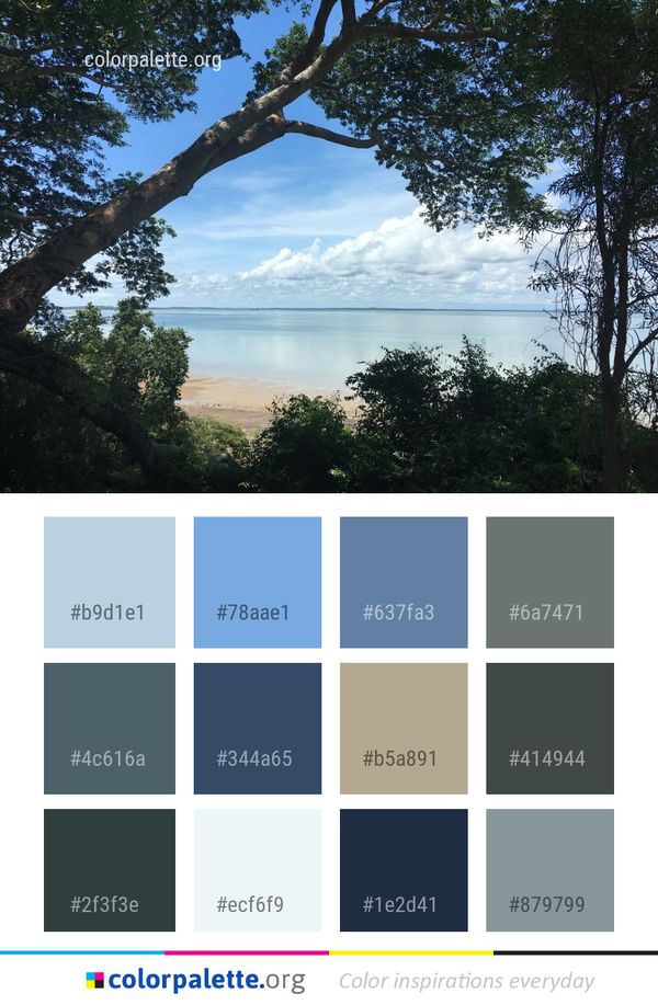 Nature Sky Tree Color Palette
