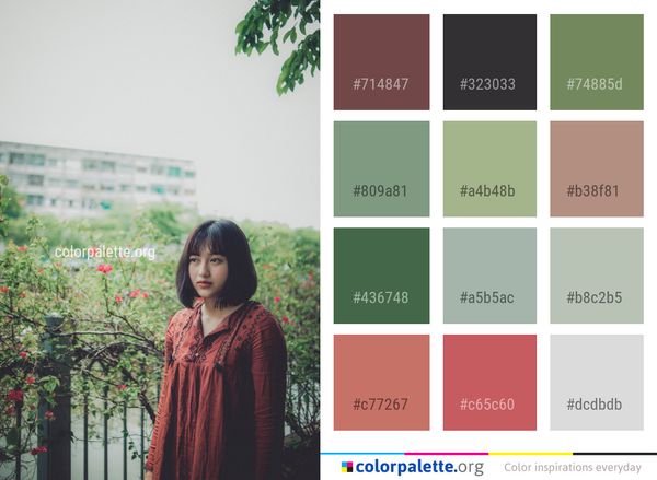 Photograph Beauty Girl Color Palette