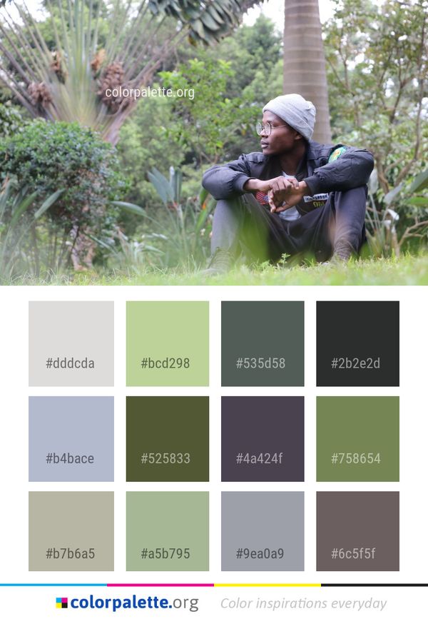 Plant Tree Grass Color Palette