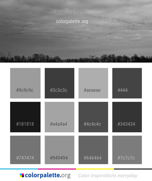 Sky Black And White Cloud Color Palette