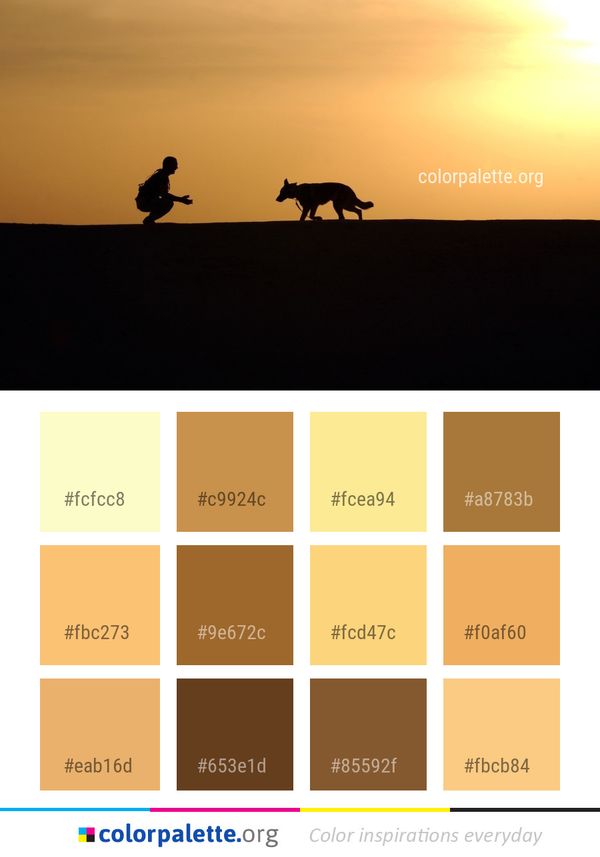 Sky Silhouette Sunrise Color Palette