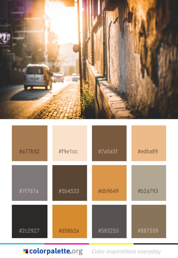 Alley Light Street Color Palette