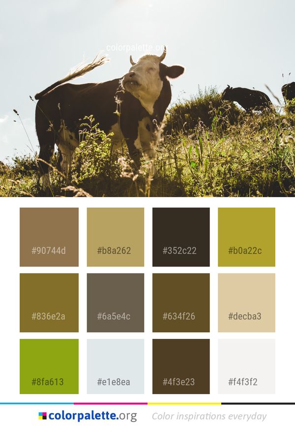 Cattle Like Mammal Dairy Cow Fauna Color Palette