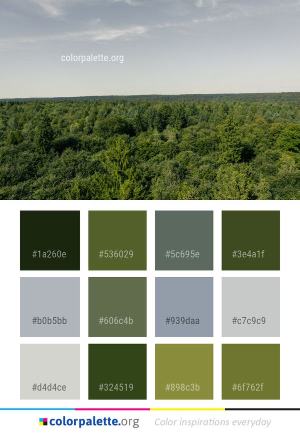 Ecosystem Vegetation Sky Color Palette