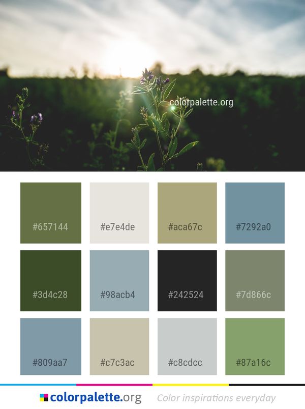 Nature Green Sky Color Palette