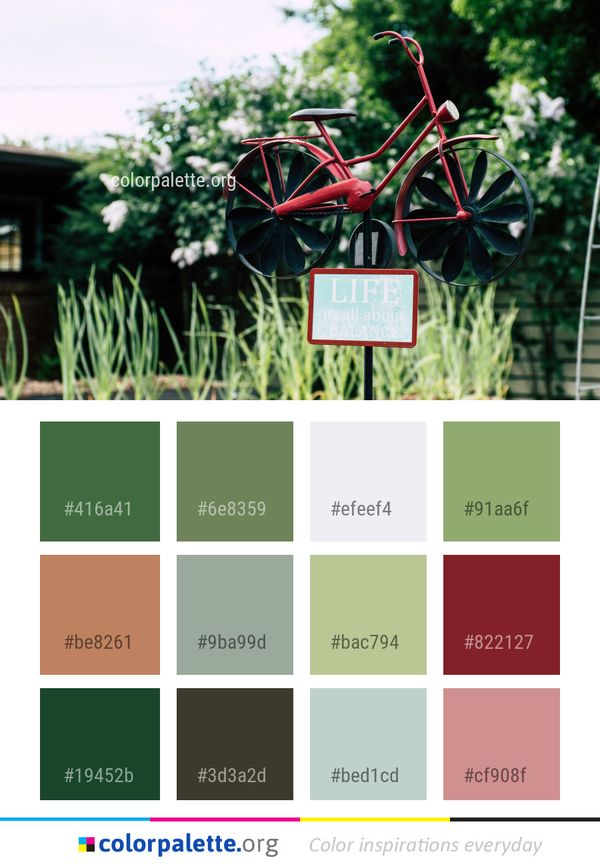 Plant Flora Flower Color Palette