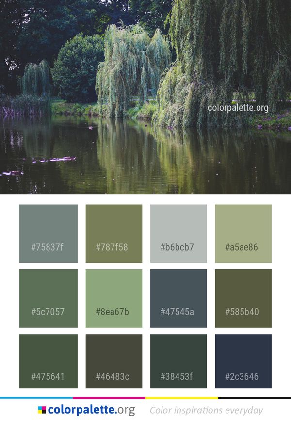 Reflection Water Nature Color Palette