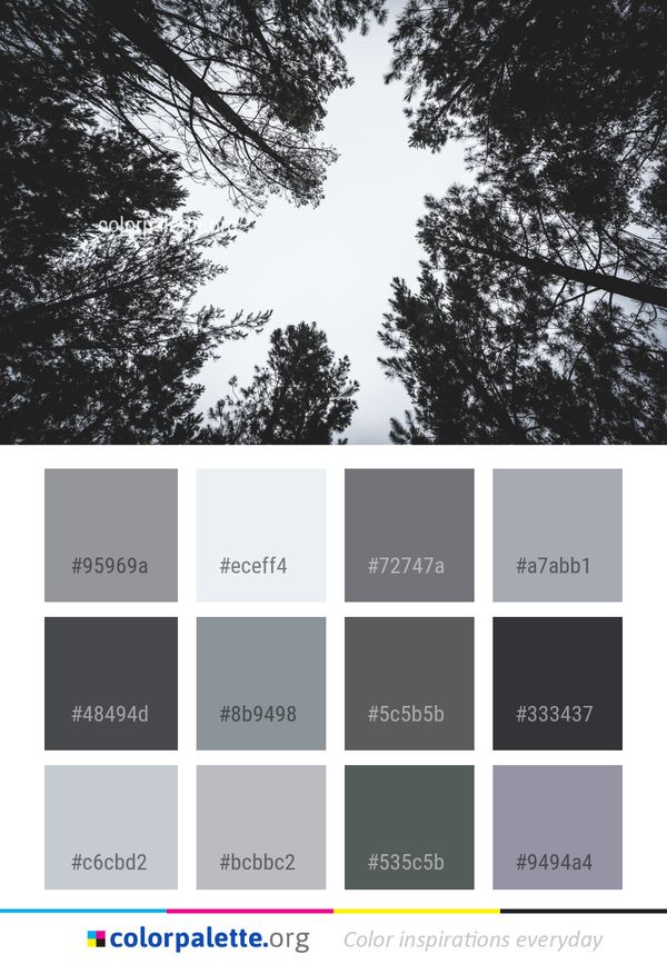 Sky Tree Nature Color Palette