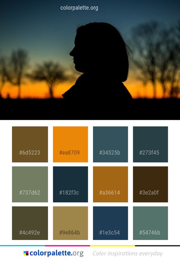 Sky Tree Silhouette Color Palette