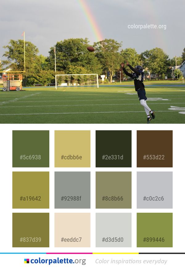Sports Sport Venue Player Color Palette