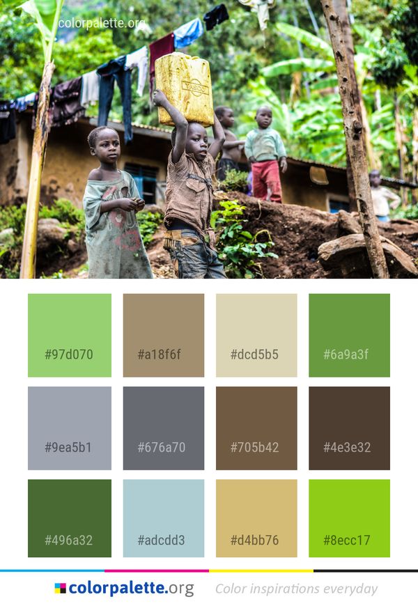 Tree Plant Forest Color Palette