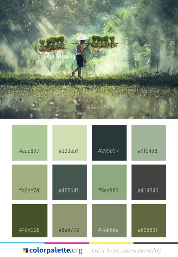Water Nature Green Color Palette