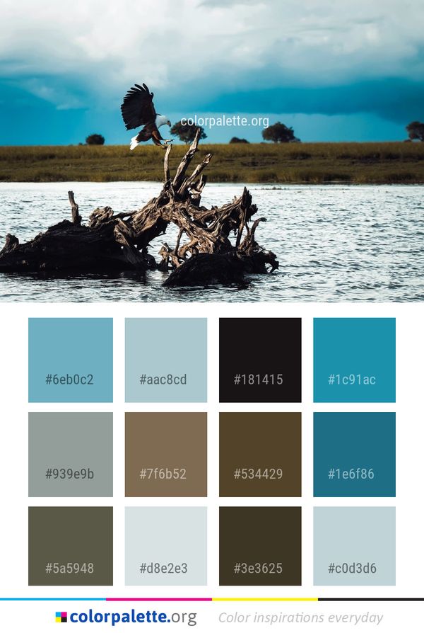 Water Sky Sea Color Palette