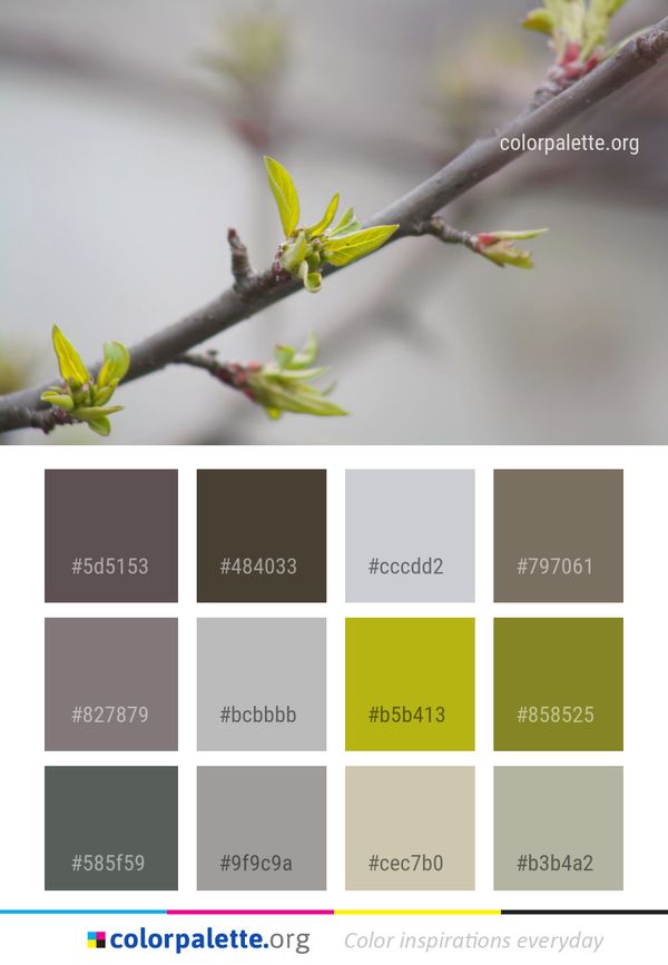 Branch Flora Twig Color Palette