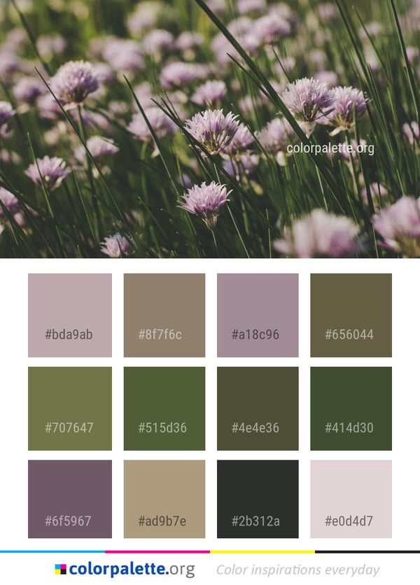 Chives Plant Purple Color Palette