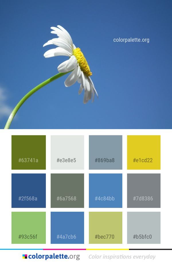 Flower Sky Yellow Color Palette