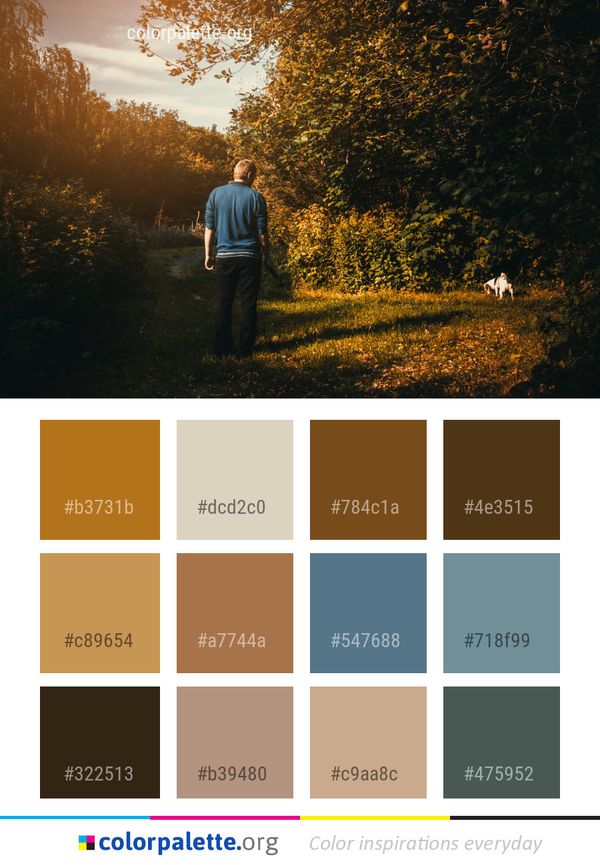Nature Photograph Leaf Color Palette