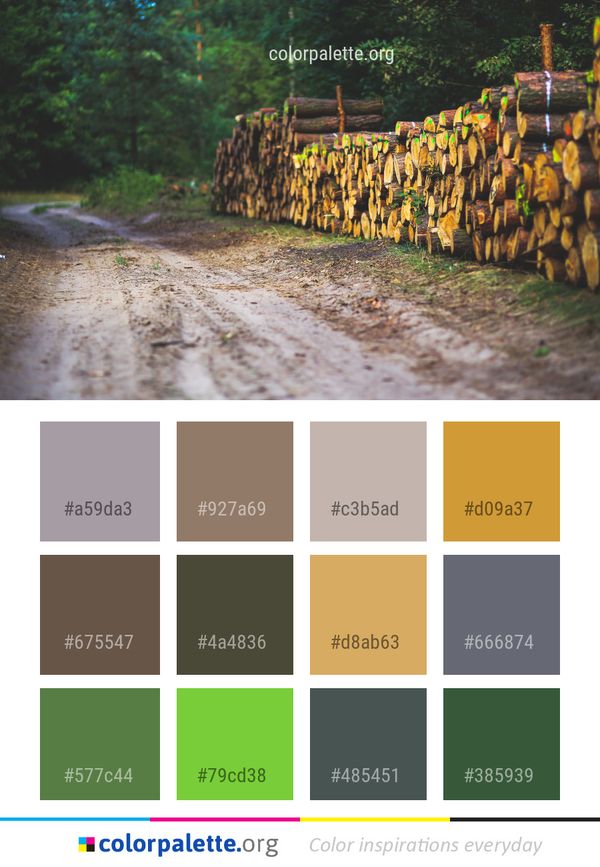 Nature Yellow Tree Color Palette