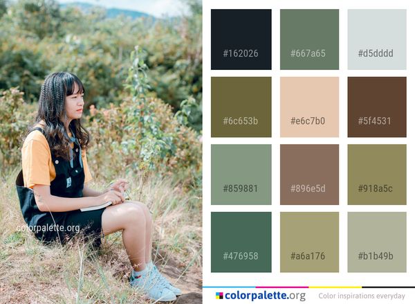 Photograph Nature Sitting Color Palette