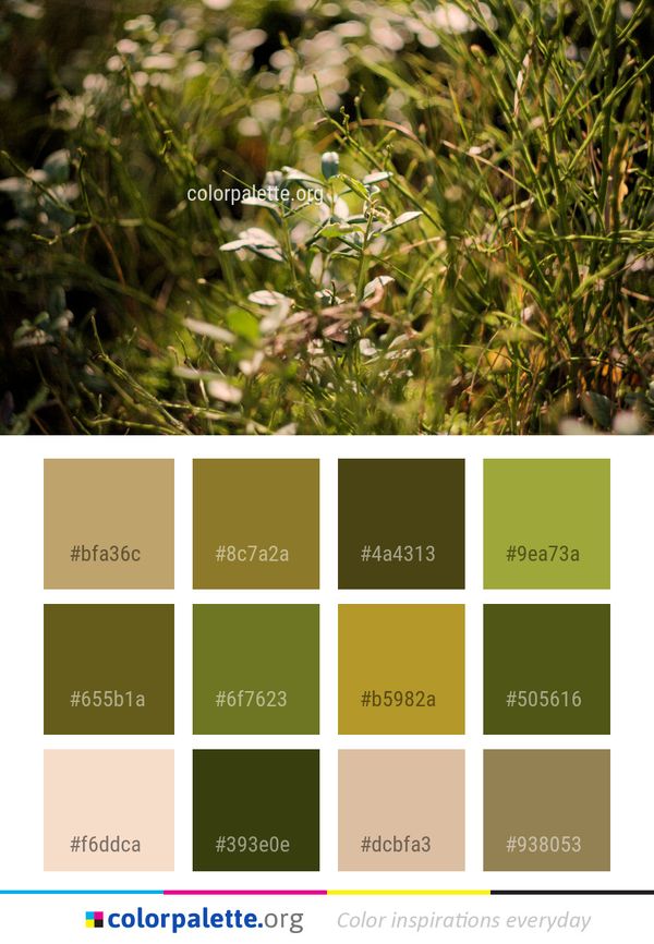 Plant Flora Flower Color Palette
