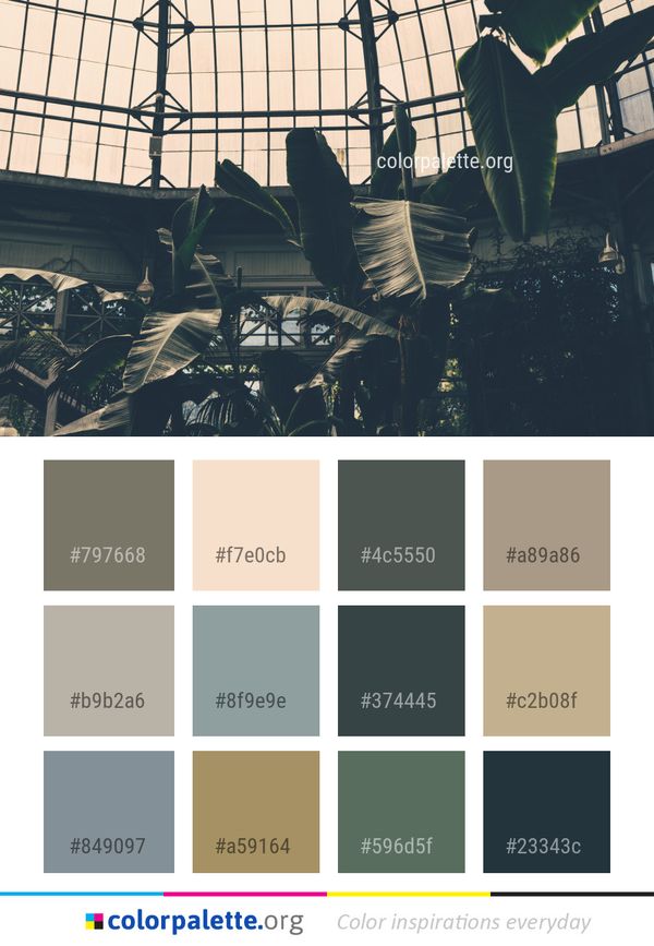 Sky Sunlight Tree Color Palette
