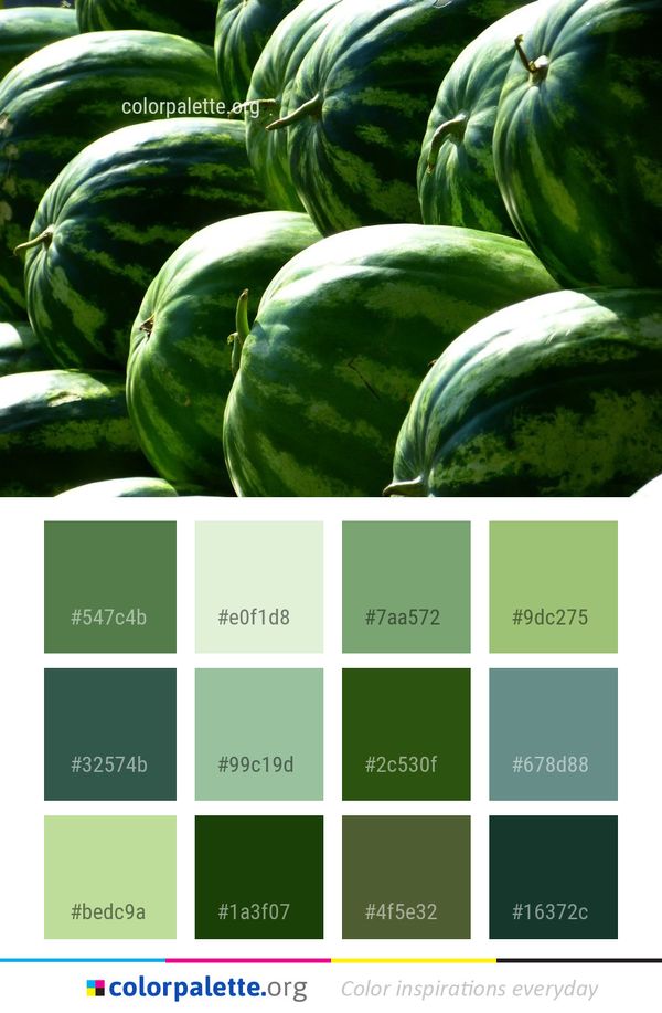 Watermelon Melon Produce Color Palette