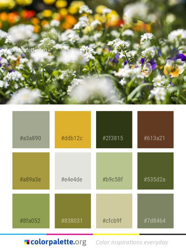 Flower Plant Spring Color Palette