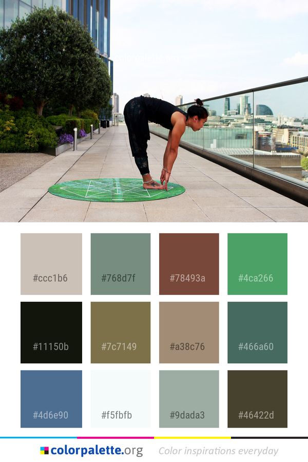 Leisure Physical Fitness Recreation Color Palette