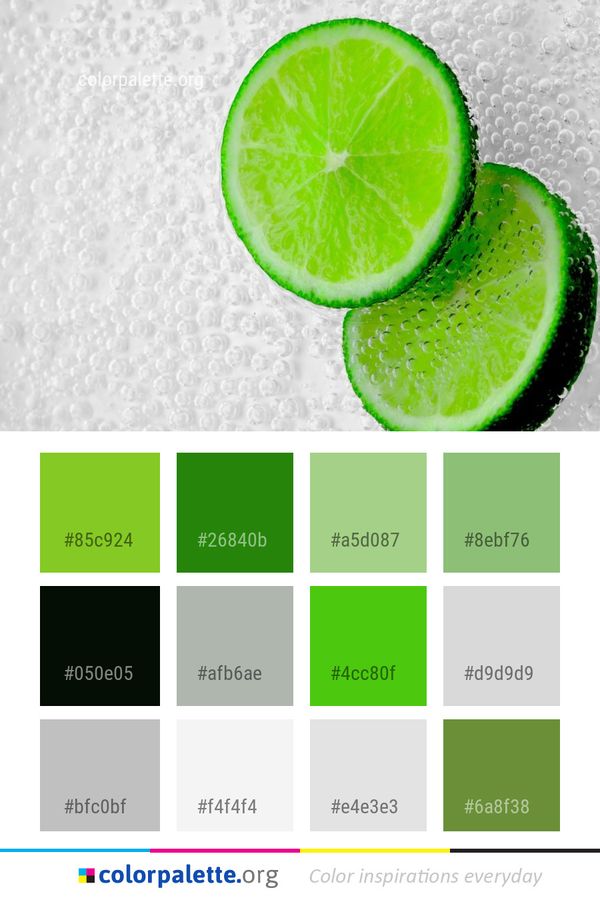 Lime Persian Lemon Color Palette