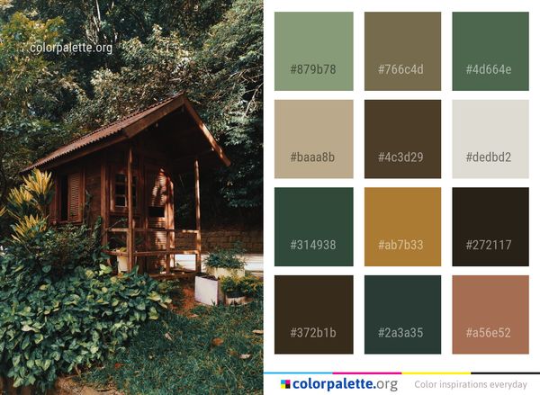 Log Cabin Shed Home Color Palette