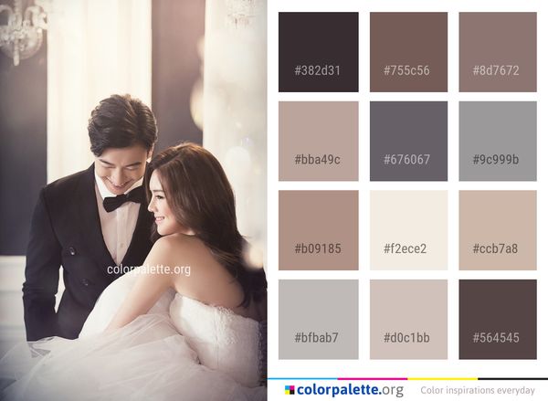 Photograph Bridal Clothing Gown Color Palette