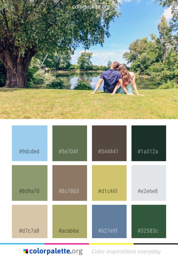 Photograph Tree Grass Color Palette