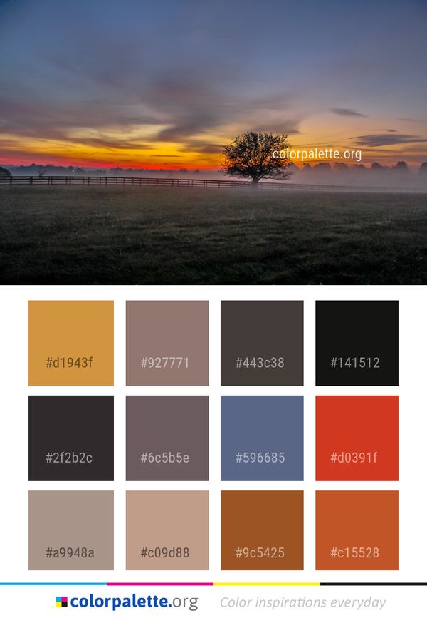 Sky Horizon Dawn Color Palette